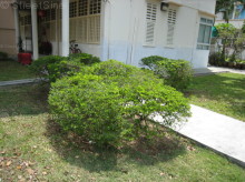 Blk 37 Lim Liak Street (Bukit Merah), HDB 3 Rooms #145952